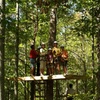 Image 2: Zip through lush forests on a two-hour zipline adventure