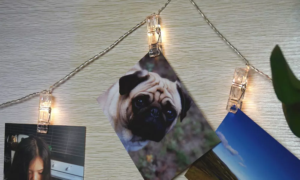 10, 20 or 30 Battery-Operated LED Peg Clip String Lights - Primary Image
