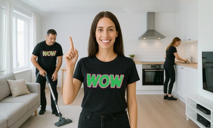 Three-man hours of House Cleaning including vaccuming, mopping, dusting, mirrows, bathrooms and Kitchen. - WOW SUPER SERVICES