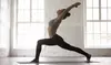 On-Demand Yoga & Meditation: Up to 91% Off The Yoga Collective Classes