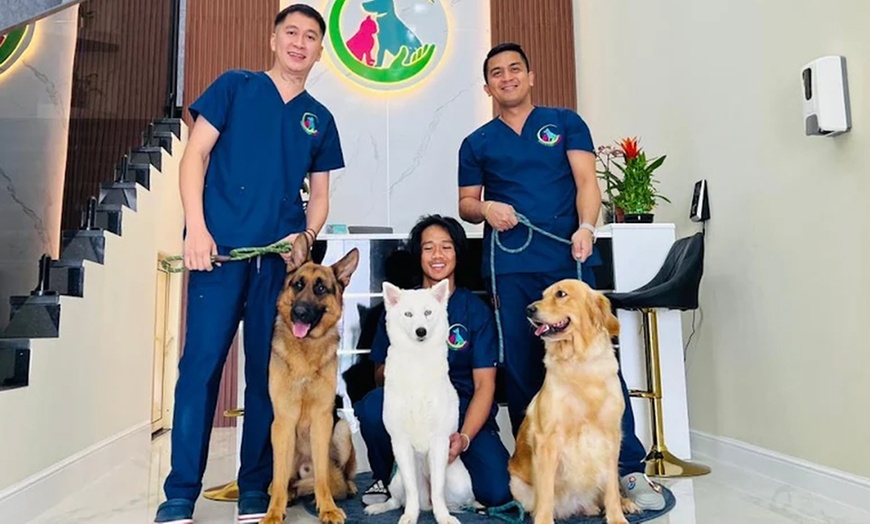 Image 2: Pawfect Makeover: Basic & Full Pet Grooming for Cats and Dogs