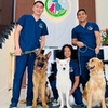 Image 2: Pawfect Makeover: Basic & Full Pet Grooming for Cats and Dogs