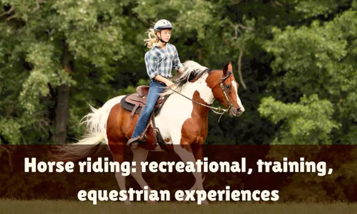 Learn to Ride Like a Pro: Horse Riding Course: Recreational, Training, Equestrian Experiences ( Up to 68% Off ) - Primary Image