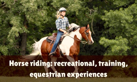 Horse Riding Course: Recreational, Training, Equestrian Experiences - Khan Education