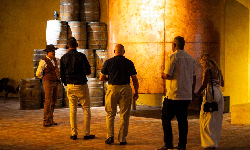 Image 9: Explore Immersive Tequila Tour w/ Art, Music & Agave Culture in Miami