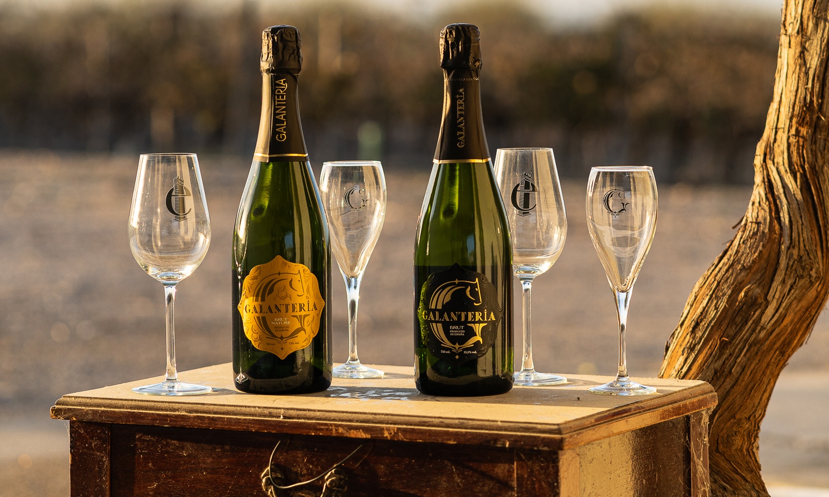 Visita a viñedo y cata de 5 vinos con almuerzo