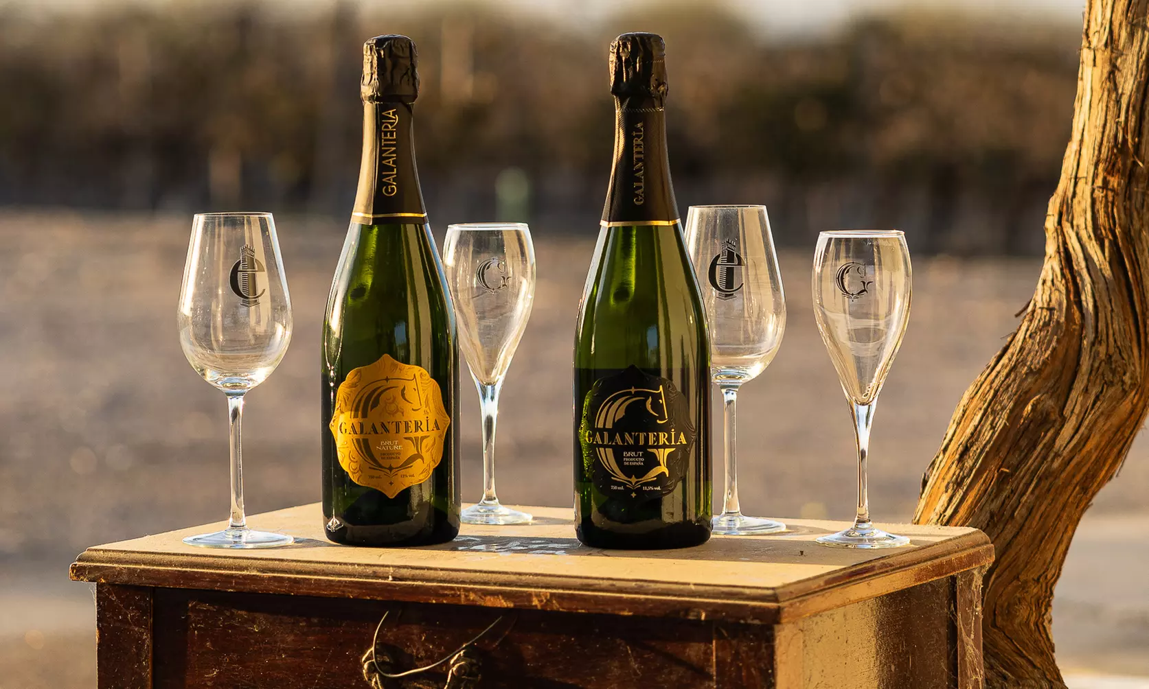 Visita a viñedo y cata de 5 vinos con almuerzo para 2 personas o 4 personas en Albariza de la Torre - Primary Image