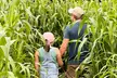 Corn Maze Admission with Hayride for One, Two, or Four People at Wards Berry Farm (Up to 31% Off) - Second Medium
