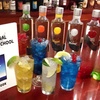 Image 3: Learn Bartending Skills with Online Flair and Video Training