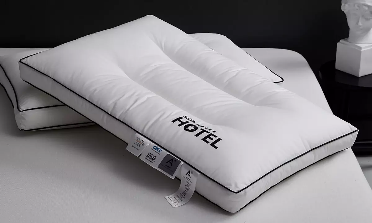 100% Cotton Five Star Hotel Pillow 2 Pack Set