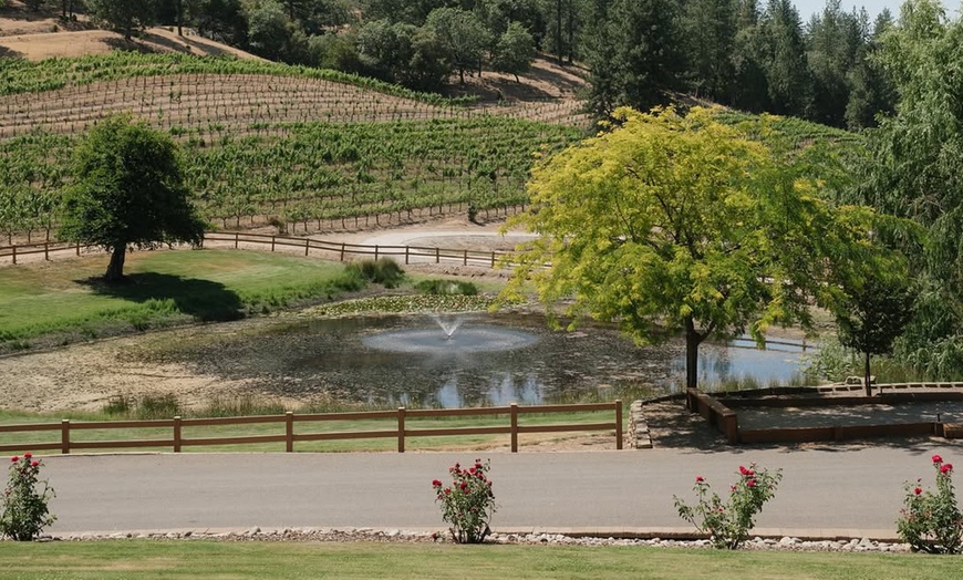 Image 6: Wine Tasting or Tour, Featuring Highland Cattle Encounter