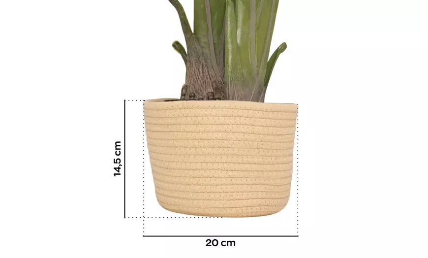 Image 21: Plantas artificiales decorativas en diferentes diseños