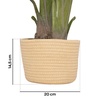 Image 21: Plantas artificiales decorativas en diferentes diseños