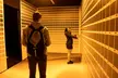 Experience an Immersive Art Experience at WNDR Museum Chicago - 18+ Installations, Interactive Fun for All Ages - Second Medium