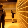 Image 5: Admission to the Immersive Art Experience at WNDR Museum Chicago
