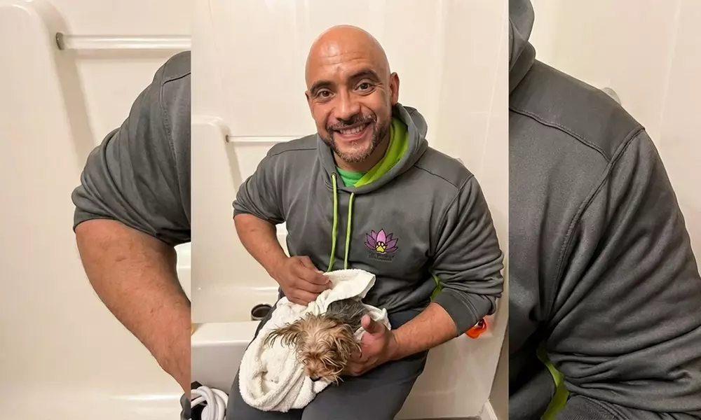 In-Home Full Service Dog Grooming for Small to XL Dogs