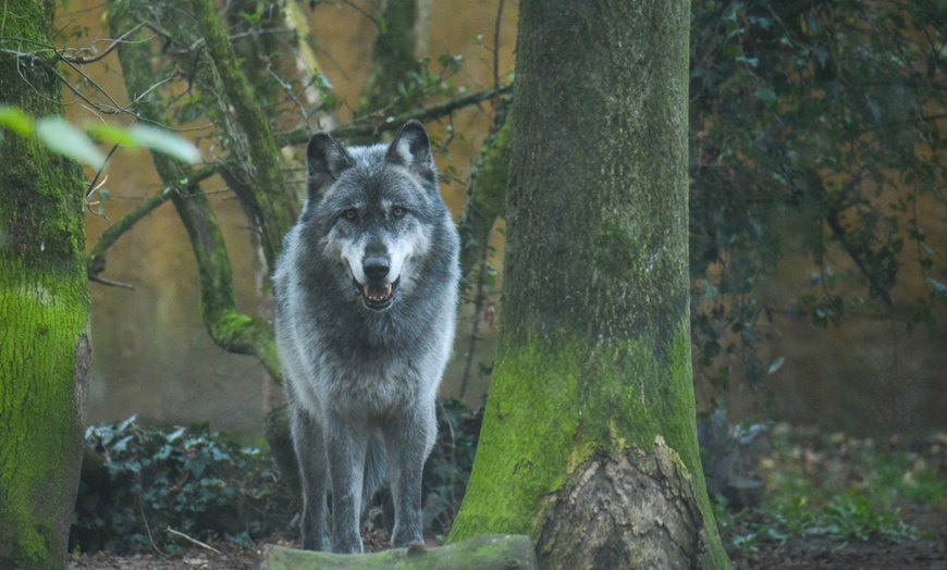 Image 22: Vivre les missions d’un soigneur au Touroparc Zoo
