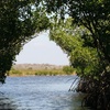 Image 9: Up to 18% Off an Everglades Airboat Adventures in Kissimmee