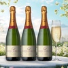 Image 1: Splash Wines: 3-Bottle of Premium Sparkling Wine - Choose Cava or French Champagne