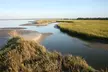 Enjoy Capers Island Wildlife Explorations or Blue Crabbing Excursions with Barrier Island EcoTours Up to 33% Off - Second Medium