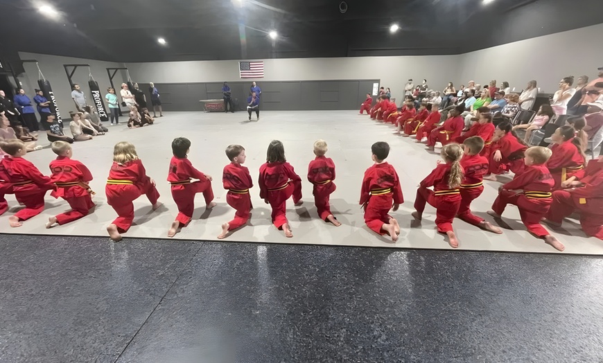 Image 3: Get One Month Karate Kid Membership or Summer Karate Special 