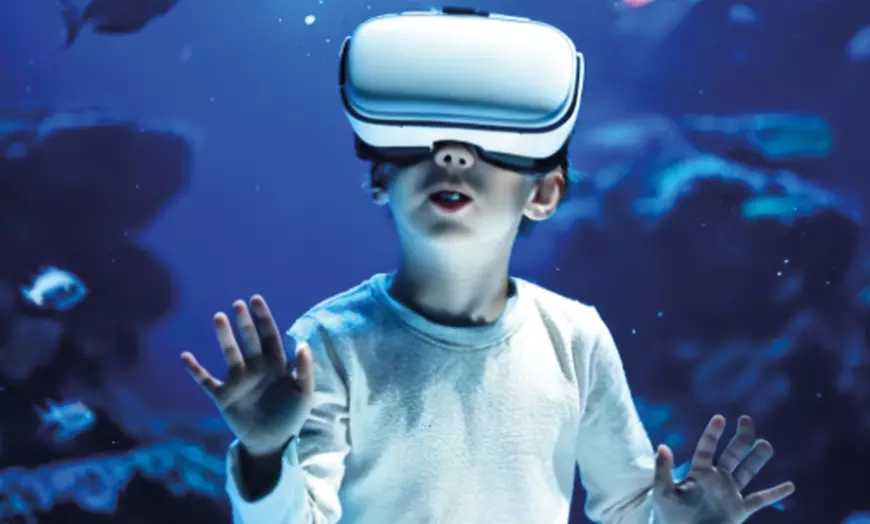 Image 10: Duik in het familieplezier met een dagje dolfinarium