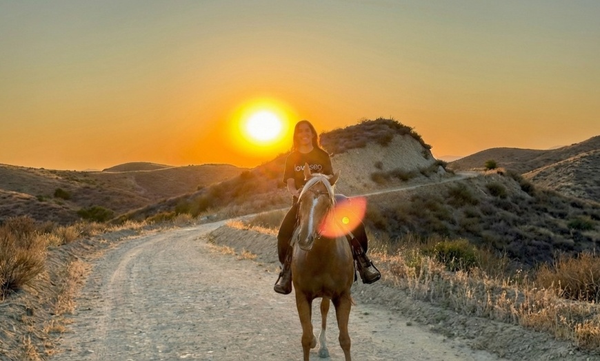 Image 6: Guided Horseback Riding: Sunset, Adventure & Beach Trails