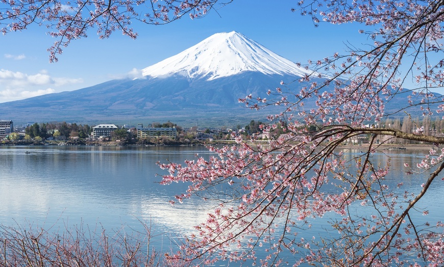 Image 10: ✈ 8-Day Japan Tour with Air from Intertrips