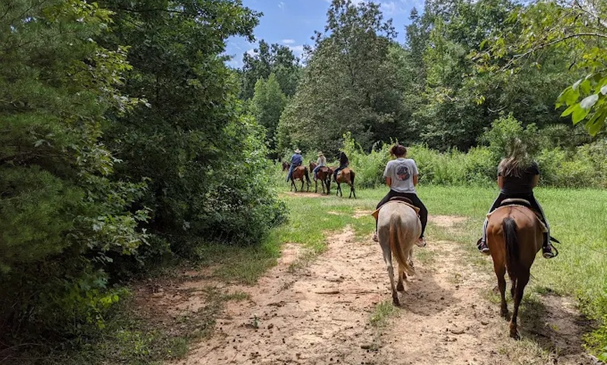 Image 2: Enjoy Scenic Horseback Riding Through Picturesque Trails