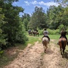 Image 2: Enjoy Scenic Horseback Riding Through Picturesque Trails