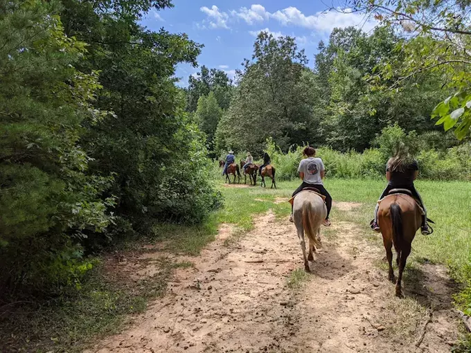 Things To Do With Kids in Spartanburg, SC - Groupon
