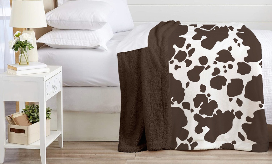 Image 3: Sherpa-Decke