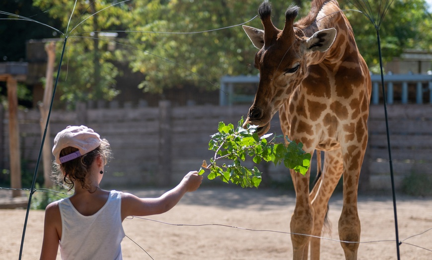 Image 37: Vivre les missions d’un soigneur au Touroparc Zoo