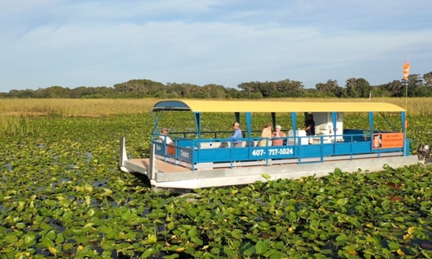 What to expect media