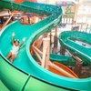 Image 3: Enjoy Indoor Water Park Fun & Family Suites at Great Wolf Lodge 