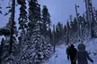 Guided Snowshoeing in Mt St Helens or Mt. Hood for 4 Hours; Private Tour of Up to 10 People Available - Second Medium
