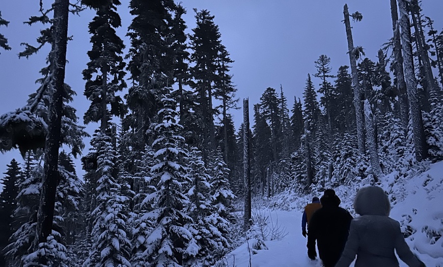 Image 6: Guided Snowshoeing in Mt St Helens or Mt. Hood for 4 Hours
