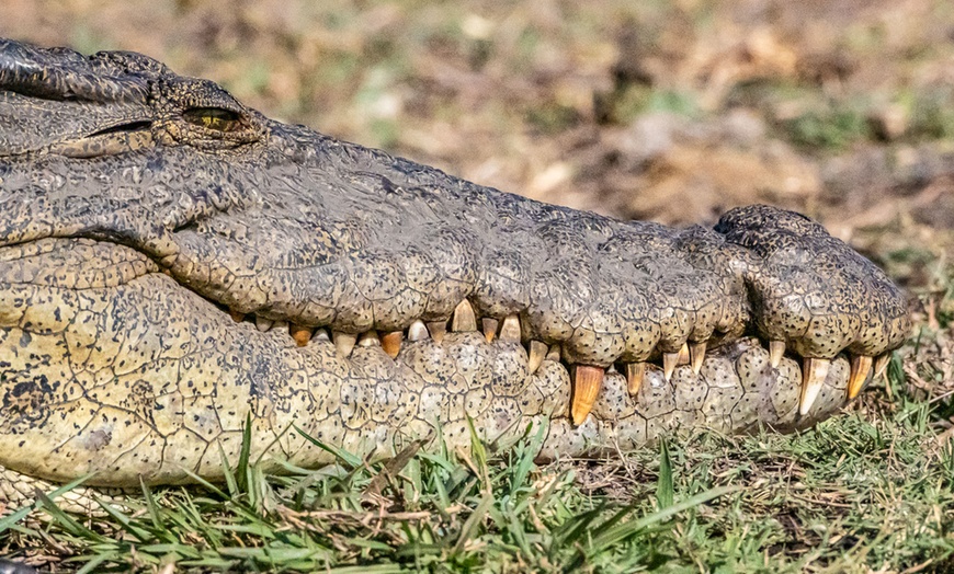 Image 47: Zimbabwe: 7-Night Yoga & Safari Retreat