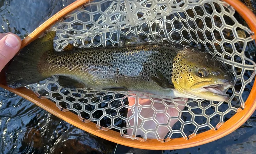 Image 6: Up to 28% Off on Fishing at Bloom Fly Fishing