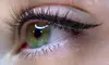 Brow, Lip, Lash & Scalp Enhancement Treatments at Phoenix Lash & Brows (Up to 60% Off)