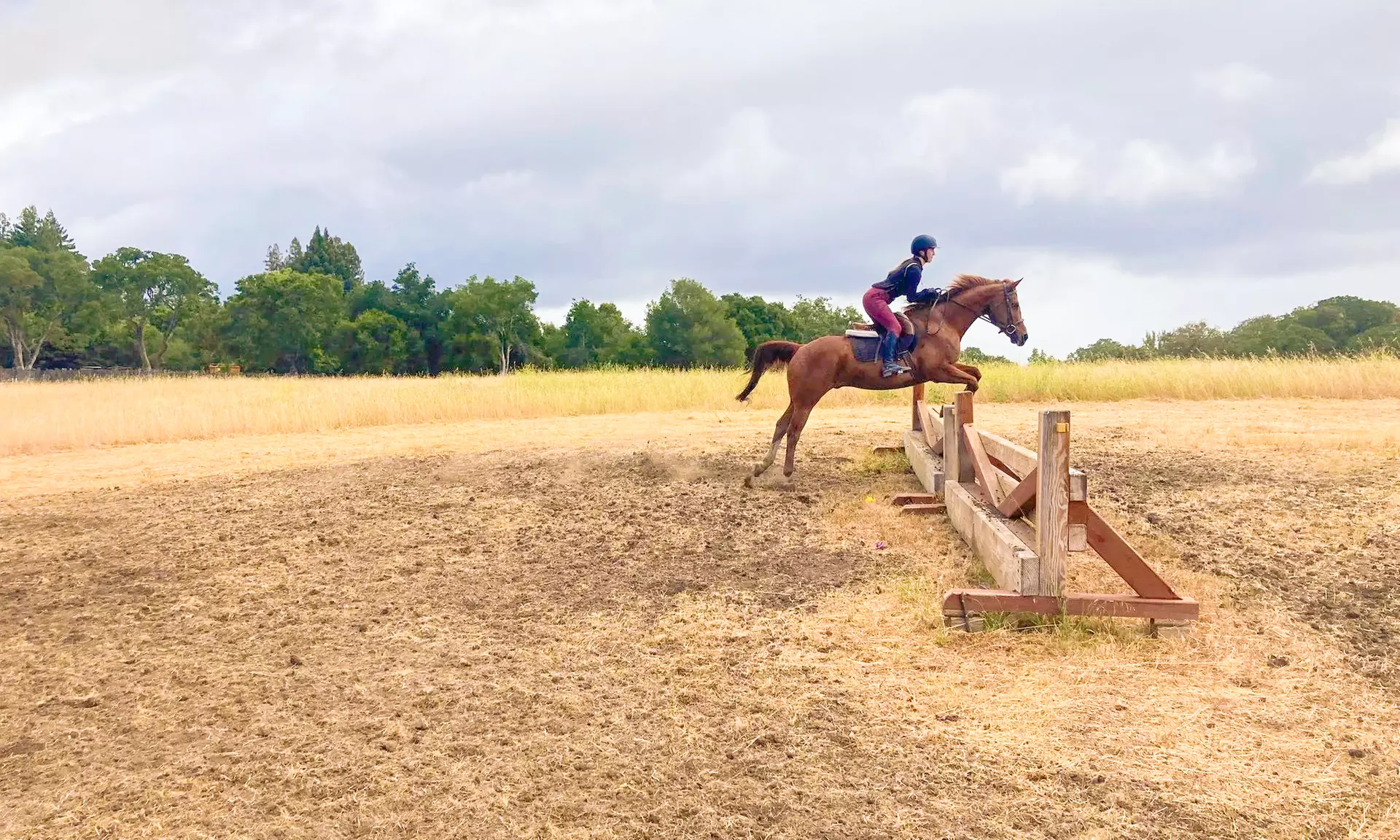 One or Three 60-Minute Horseback Riding Lessons at Over The Moon Eventing and Riding School (Up to 27% Off) - Primary Image