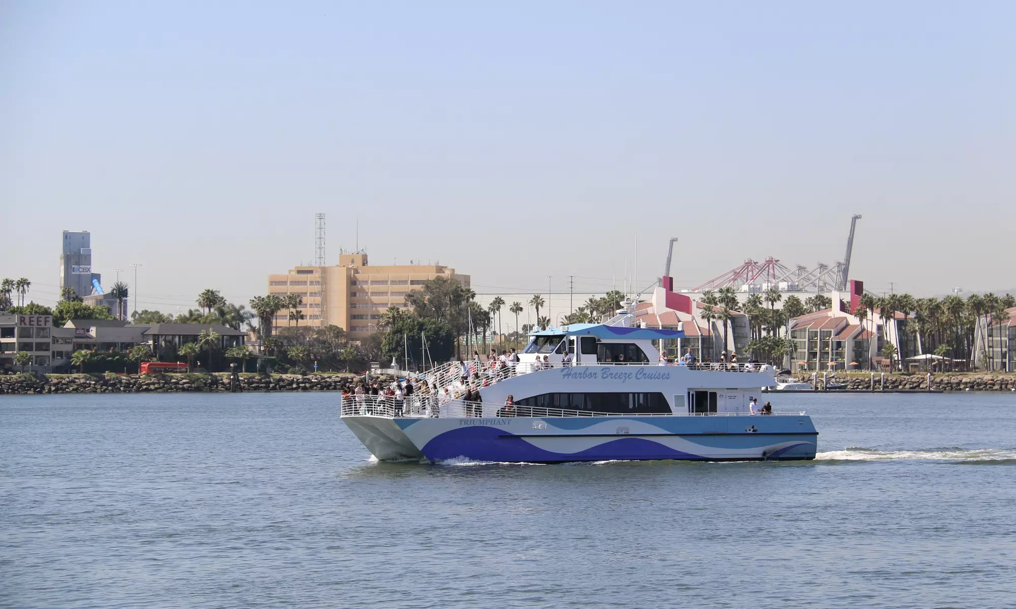 Up to 50% Off Whale Watching and Harbor Tours - Harbor Breeze