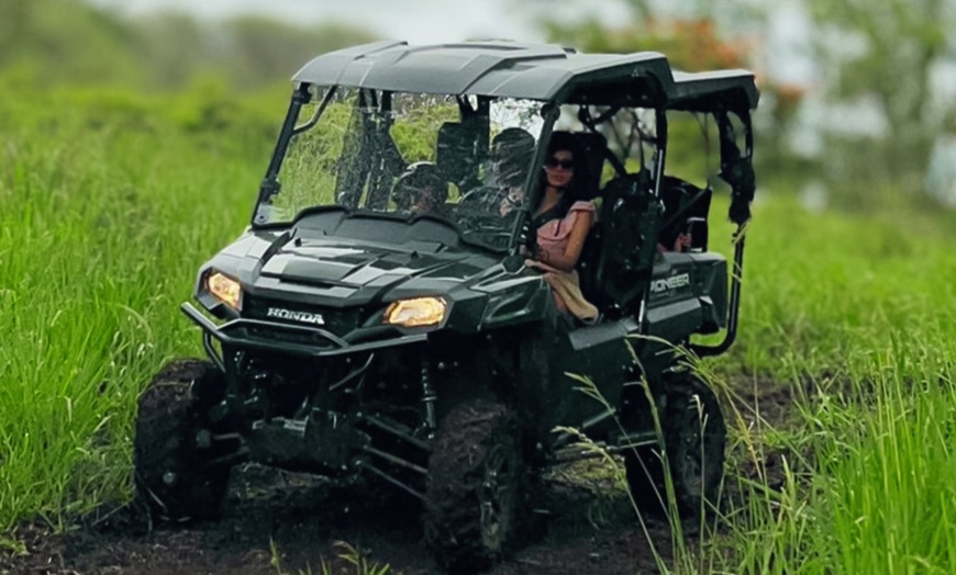 Image 2: Enjoy a Guided ATV Tour with Seasonal Fruit Picking and More!