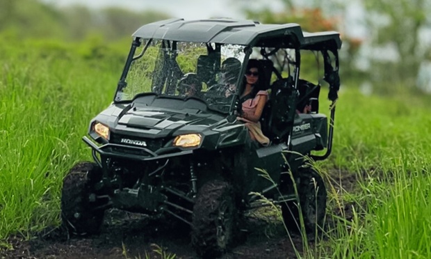 What to expect media