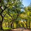 Image 15: Up to 27% Off 4.5-Hour Manhattan Bus & Walking Sightseeing Tour
