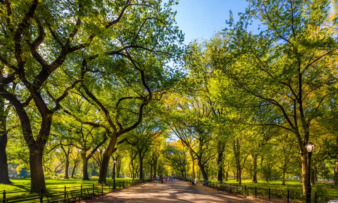 Up to 27% Off 4.5-Hour Manhattan Bus & Walking Sightseeing Tour
