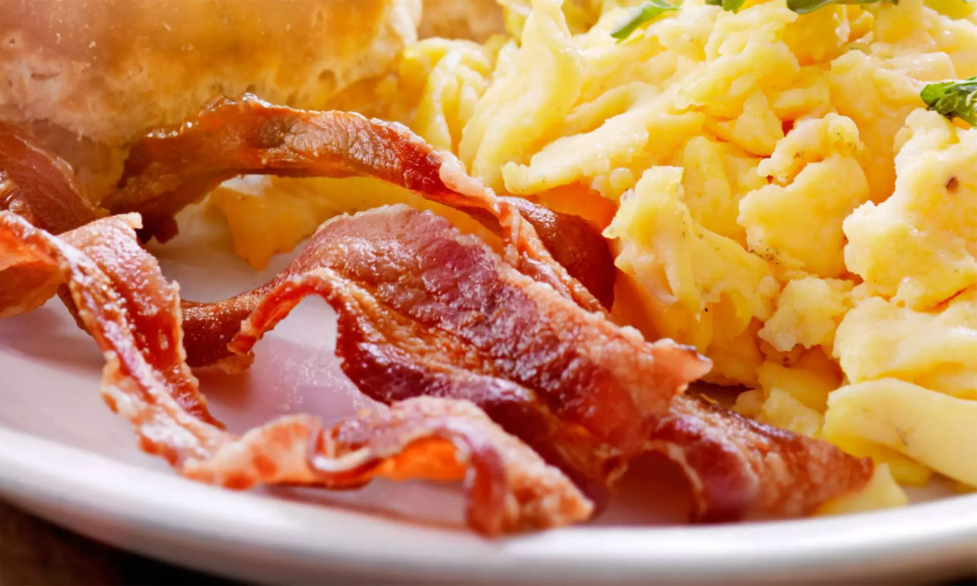 Savor the Perfect Bite — Paninis, Wraps, Salads & More at Panini Grill