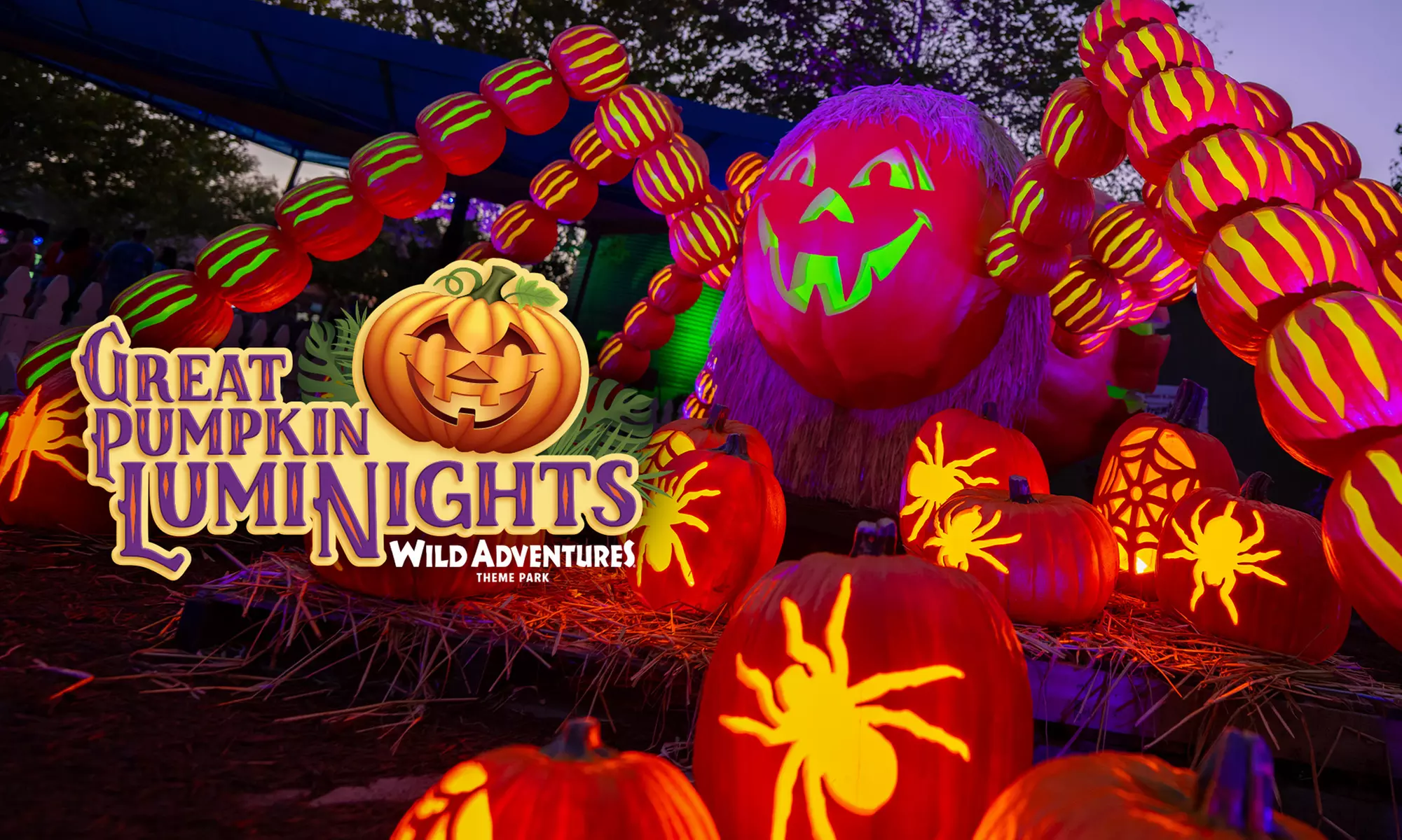 Wild Adventures Theme Park: Single Day Admission, Silver or Gold Pass