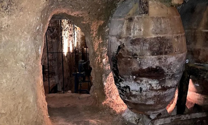 Image 20: Visita a una bodega, cata de vinos, vermut de bienvenida y aperitivo