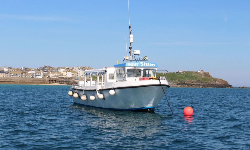Image 3: Seal-Dolphin Spotting & Godrevy Lighthouse Trip-Upto 4 Adults & 2 Kids
